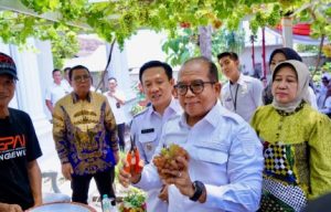 Pj.Gubernur Lampung Kunjungi Kebun Anggur DPD ASPAI Kabupaten Pringsewu