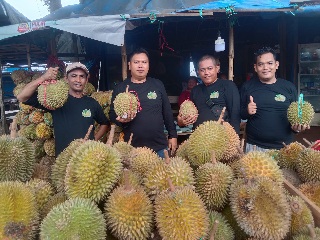 Momen libur Nataru  pedagang duren pinggir jalan ke banjiran rezeki