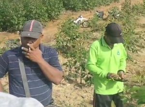 Warga Kelompok tani hutan Paser balik jaya mandiri mengadakan pengukuran lahan