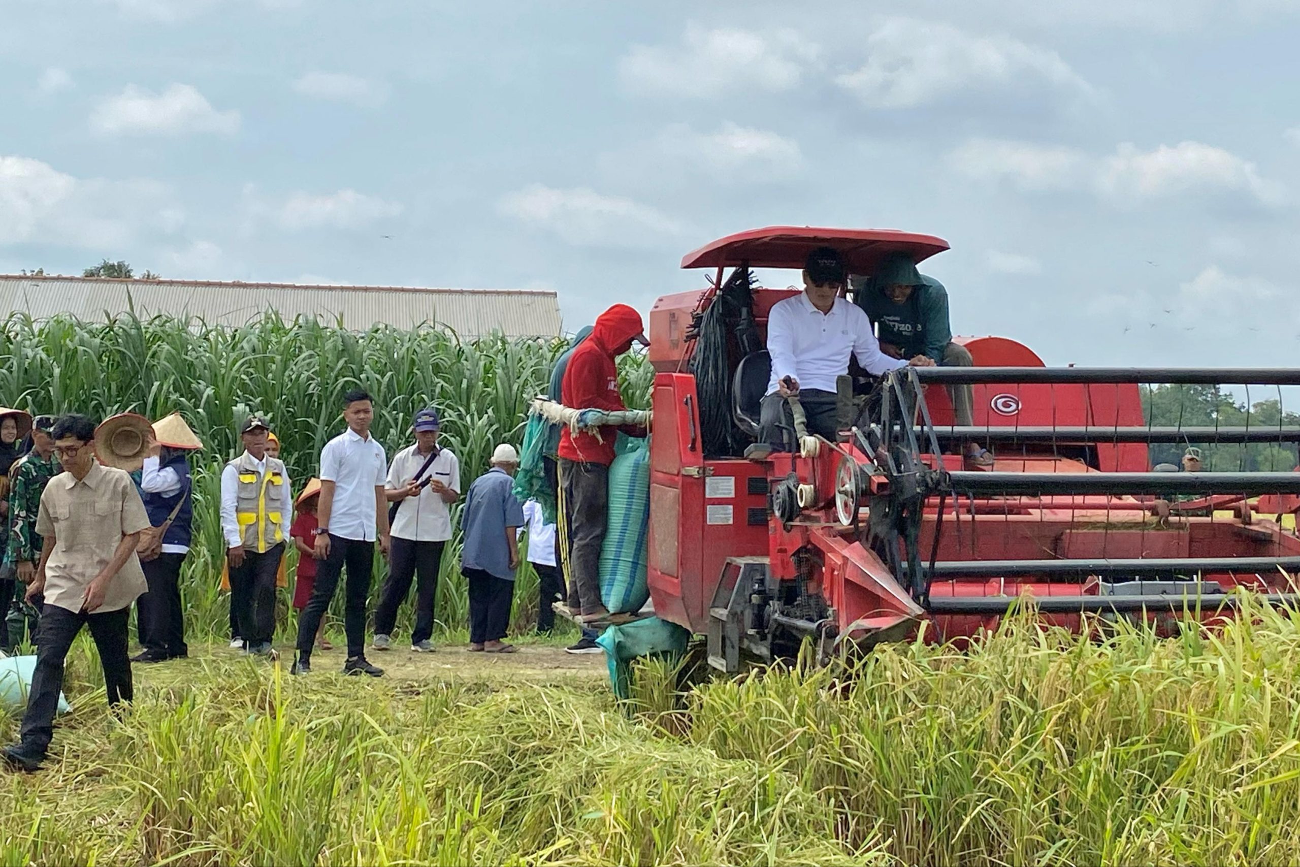Bupati Tubaba Menghadiri Kegiatan Panen Raya