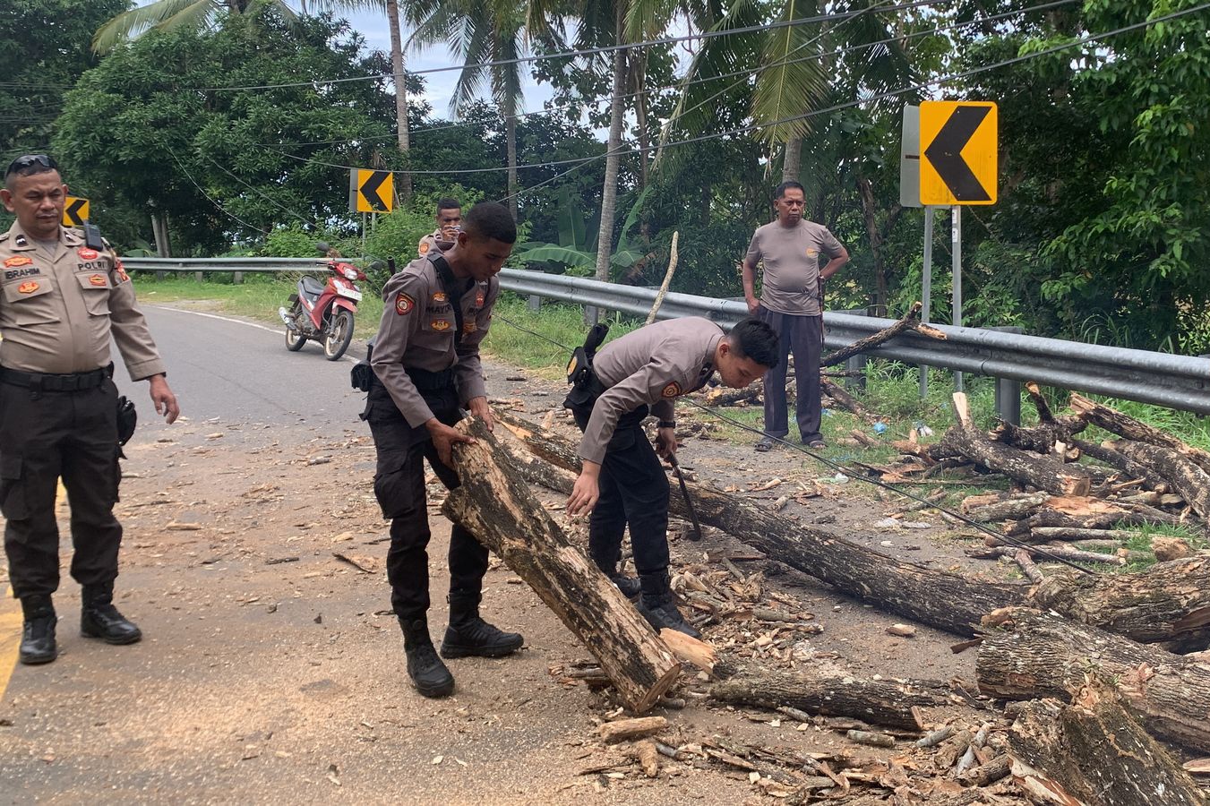 Sinergitas Sat Samapta Polres Sinjai Bersama Warga Bersihkan Pohon Tumbang