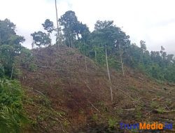 Tahap Satu Baru 25 Persen, Tapi kini Sudah Garap Tahap Kedua, Program peremajaan sawit Rakyat (PSR)