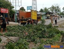 Antisipasi pohon tumbang,Polsek Sekampung lakukan perantingan