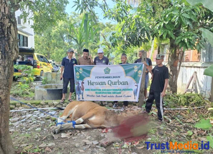 Bentuk Kepedulian dan Ketaatan, Kemenag Sinjai Qurban 13 Ekor Sapi di Idul Adha 1446 H