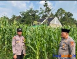Bhabinkamtibmas Polsek Padarincang Sambangi Petani Jagung