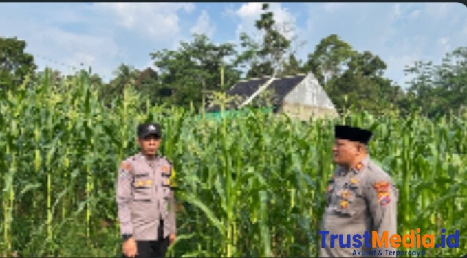 Bhabinkamtibmas Polsek Padarincang Sambangi Petani Jagung