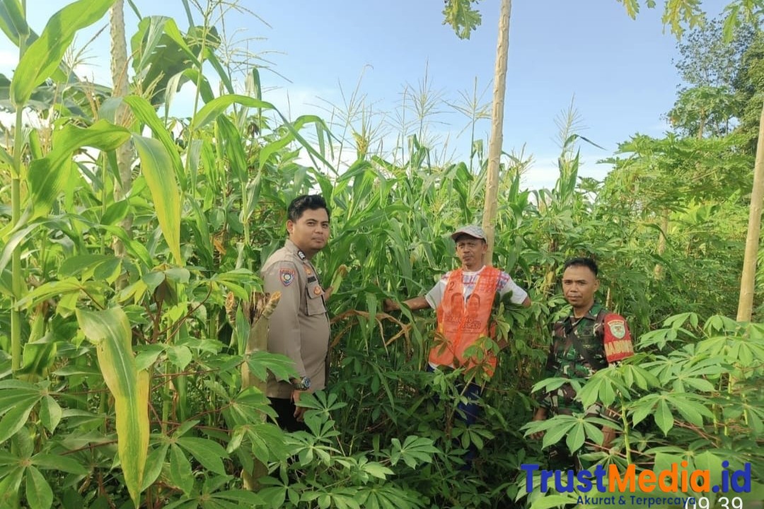 Babinkamtibmas Polsek Walantaka Polresta Serang Kota dukung kegiatan Program Swasembada Pangan Nasional