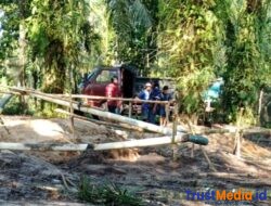 Aktifitas penambangan pasir liar di Desa Sriminosari  Lamtim terus berjalan. Ada apa dengan aparat penegak hukum ?