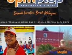 Aktivis Ilham Hs Minta Bupati Evaluasi DPMPTSP Sinjai.