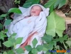 Penemuan Bayi Di Buang Di Semak Semak, Kasus Sedang di Telusuri Pihak Polsek Sinjai Tengah
