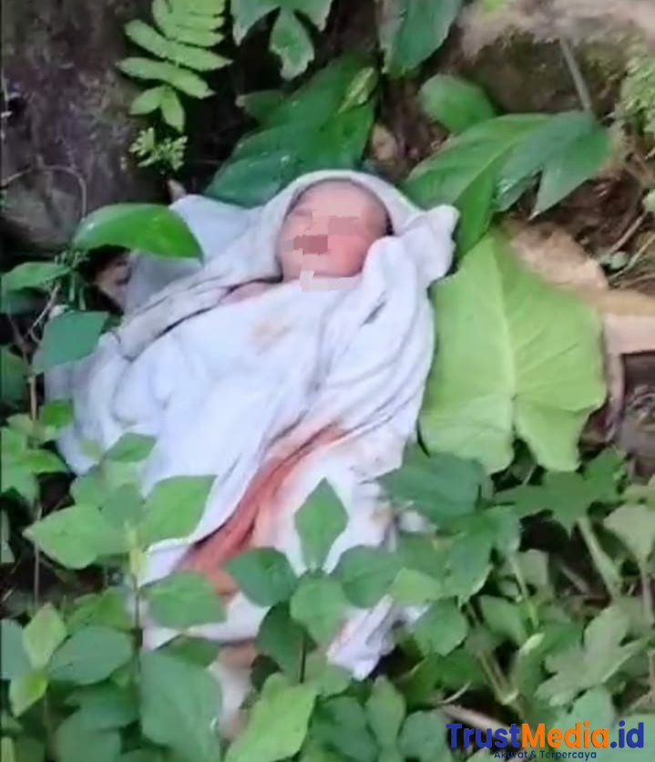 Penemuan Bayi Di Buang Di Semak Semak, Kasus Sedang di Telusuri Pihak Polsek Sinjai Tengah