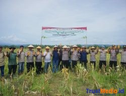 Polres Lhokseumawe Gelar Panen Raya Jagung Serentak Kuartal III Dukung Swasembada Pangan