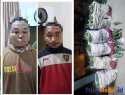 Ketahuan Bawa 5 Karung Bibit Nanas, Dua Warga Sukadana Diciduk Polres Lampung Timur