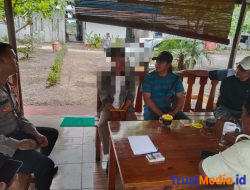 Pengembangan Kasus Berlanjut, Sat Reskrim Polres Lamtim Tangkap Penadah Bibit Nanas Curian