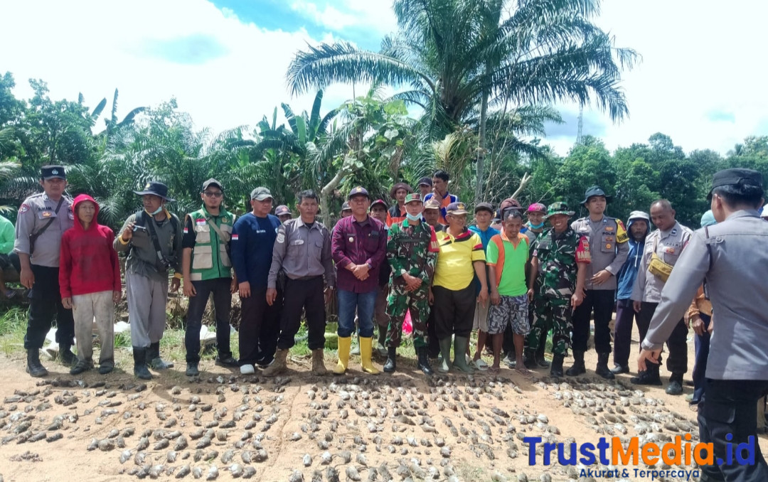 Tim Gerdal Uspika Kecamatan Sendang Agung Berhasil Tangkap Tikus 760 Ekor .