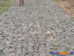 Pembangunan Jalan Onderlagh di Desa Jepara Dikeluhkan Warga, Diduga Proyek Siluman