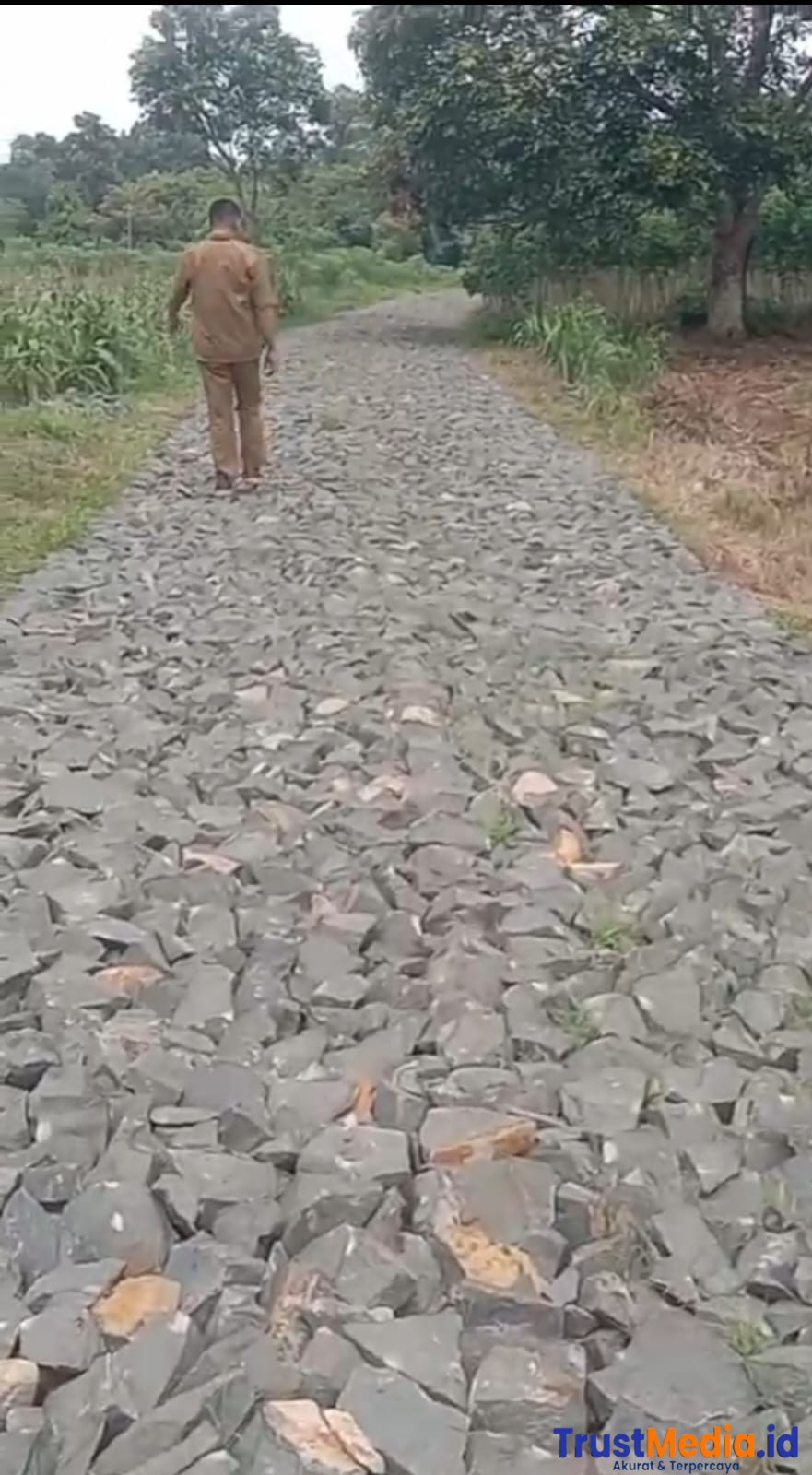 Pembangunan Jalan Onderlagh di Desa Jepara Dikeluhkan Warga, Diduga Proyek Siluman