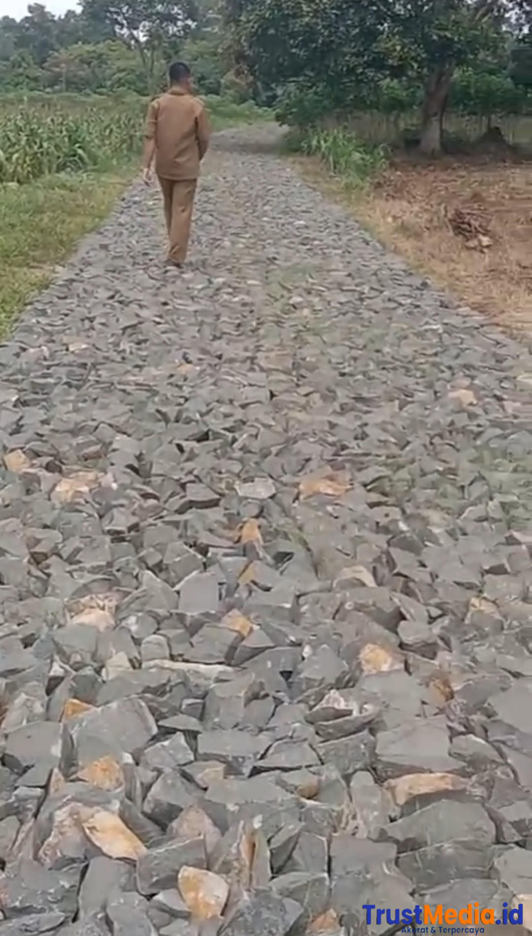 ‎Pembangunan Jalan Onderlagh Dusun 1  Jepara Dikeluhkan Warga, Diduga Proyek Siluman ‎ Lampung Timur  trust media.id  Pembangunan jalan onderlagh di Desa Jepara, Kecamatan Way Jepara, Kabupaten Lampung Timur, menuai keluhan dari sejumlah warga. Diketahui proyek tersebut dikerjakan oleh CV Soma Jaya Kontruksi beralamatkan di Desa Mataram Marga Kecamatan Sukadana Lampung Timur. ‎ ‎Hasil karya CV Soma Jaya Kontruksi tersebut dilaksanakan pada tahun anggaran 2025 dinilai belum memenuhi harapan masyarakat, baik dari sisi kualitas maupun transparansi. ‎ ‎Berdasarkan keluhan warga dan hasil pantauan di lapangan, pembangunan jalan tersebut diduga sebagai proyek siluman. Pasalnya, hingga saat ini tidak ditemukan papan informasi proyek di lokasi pekerjaan, sehingga masyarakat tidak mengetahui secara jelas nilai anggaran, sumber dana, volume pekerjaan, maupun jangka waktu pelaksanaan proyek. ‎ ‎Selain minimnya informasi, warga juga mengeluhkan material pekerjaan yang belum dilengkapi pasir. Jalan yang baru dilakukan penimbunan batu onderlag tersebut dibiarkan tanpa lapisan pasir, bahkan disebut-sebut baru akan diberikan pasir hingga memasuki tahun 2026, meski proyek tersebut merupakan kegiatan tahun anggaran 2025. ‎ ‎“Proyek tahun 2025, tapi sampai sekarang belum disiram dengan pasir,” ujar salah satu warga Desa Jepara yang enggan disebutkan namanya, Senin (5/1/2025). ‎ ‎Warga juga menyoroti ketebalan lapisan onderlag yang terlihat tipis dan permukaan jalan yang tidak rata di beberapa titik. Kondisi tersebut dikhawatirkan dapat mempercepat kerusakan jalan, terlebih jika diguyur hujan dan dilewati kendaraan bermuatan. ‎ ‎Masyarakat berharap pihak pelaksana proyek dan instansi terkait segera memberikan penjelasan secara terbuka serta melakukan evaluasi terhadap pekerjaan tersebut. Mereka juga meminta agar pengawasan diperketat, sehingga pembangunan infrastruktur desa benar-benar sesuai spesifikasi teknis dan tidak merugikan masyarakat. ‎ ‎Hingga berita ini diturunkan, pihak CV Soma Jaya Konstruksi maupun dinas terkait belum memberikan keterangan resmi atas keluhan warga dan dugaan proyek siluman tersebut. ‎ ‎Pewarta AM