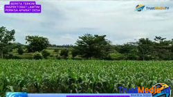 Bara JP Pertanyakan Kinerja Inspektorat Lampung Timur, 8 Bulan Laporan Tanah Bengkok Mandek