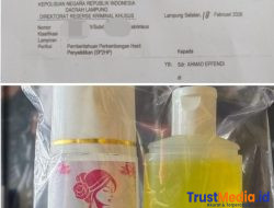 Dari Laporan ke Polda hingga OTT, Benarkah Kasus Lamtim Sesederhana yang Beredar?