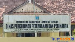 Jejak Excavator Bantuan KKP di Lampung Tengah, Sekretaris Dinas Disbunnakan Jadi Sorotan