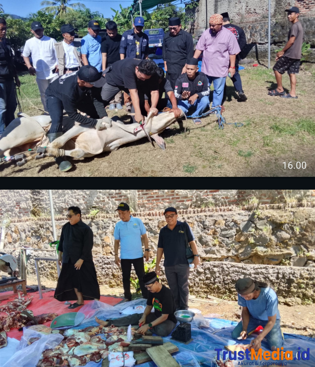 PWI dan SMSI Banten Potong Dua Sapi Dari Gubernur dan Kapolda 