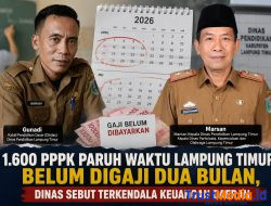 Lampung Timur Makmur , Jadi Sorotan, 1.600 PPPK Paruh Waktu Belum Terima Gaji Dua Bulan