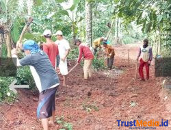 Pembukaan Badan Jalan di Pekon Bandungbaru Barat Dorong Akses Pertanian dan Pertumbuhan Ekonomi