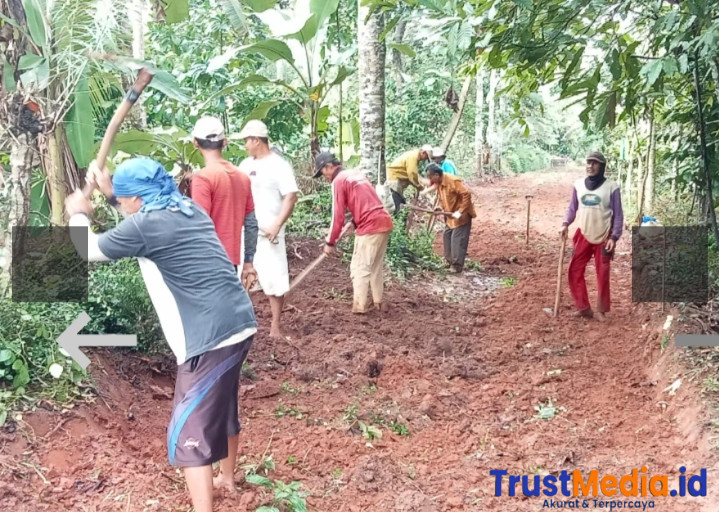 Pembukaan Badan Jalan di Pekon Bandungbaru Barat Dorong Akses Pertanian dan Pertumbuhan Ekonomi